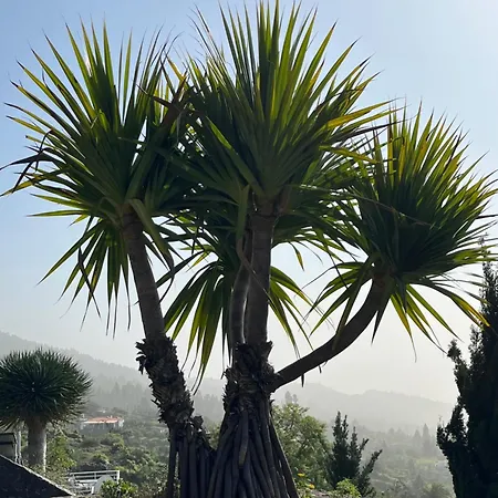 Villa Buena Vista *