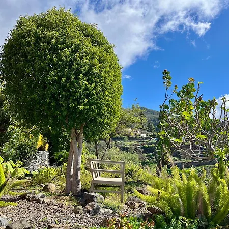 Buena Vista Villa *