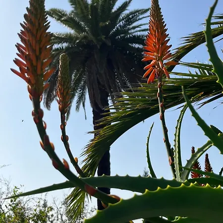 Buena Vista Villa *